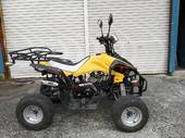  квадроциклы  UTV 4 Wheel Buggy 2009г.