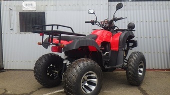 Toyama Buggy WYZC2012030