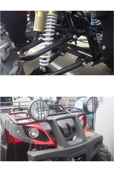 Toyama Buggy WYZC2012030