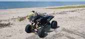 4 Wheel Buggy 125cc 