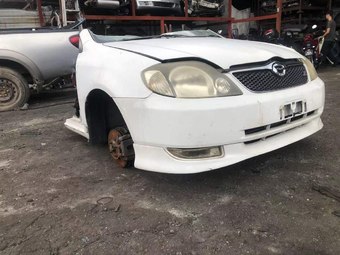 Nose cut Toyota Corolla Runx 2001 NZE121 1NZ-FE